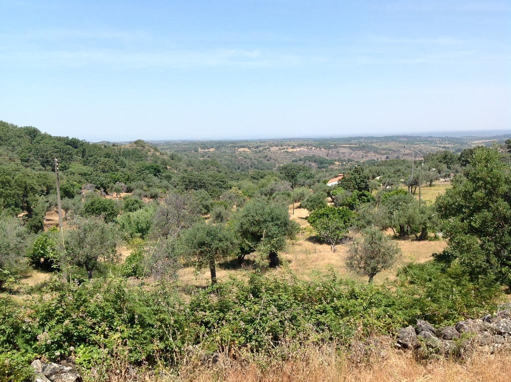 Refugio Da Maceira Villa Marvão Eksteriør bilde